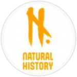 logo-nat