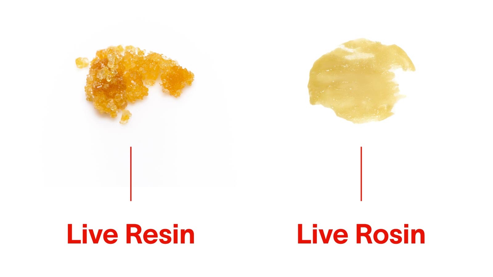 Live-Resin-vs-Live-Rosin
