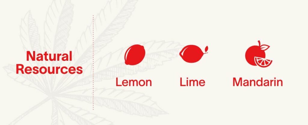 limonene-2
