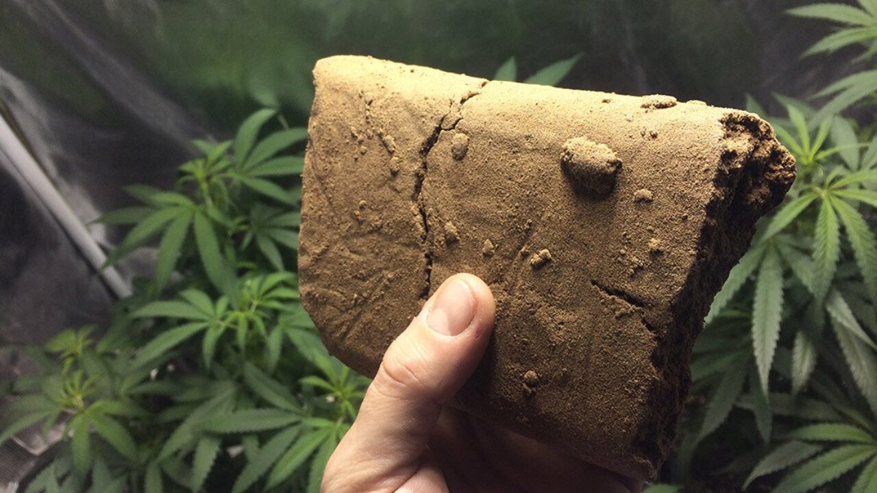 A Beginner's Guide to Smoking Hash: Everything You Need to Know